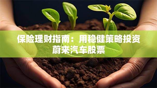 保险理财指南：用稳健策略投资蔚来汽车股票