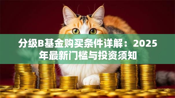 分级B基金购买条件详解：2025年最新门槛与投资须知