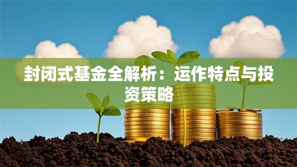 封闭式基金全解析：运作特点与投资策略