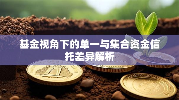 基金视角下的单一与集合资金信托差异解析