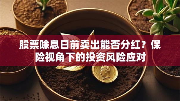 股票除息日前卖出能否分红？保险视角下的投资风险应对