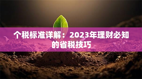 个税标准详解：2023年理财必知的省税技巧