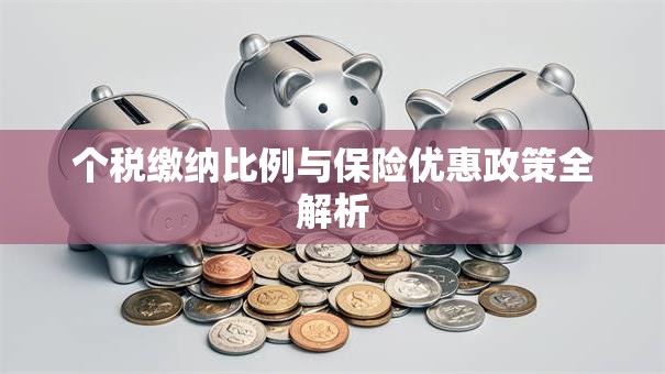 个税缴纳比例与保险优惠政策全解析