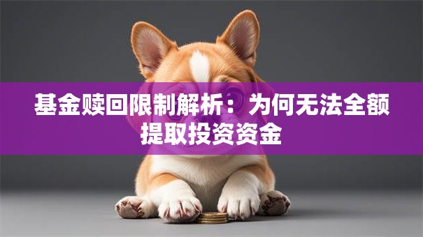 基金赎回限制解析：为何无法全额提取投资资金