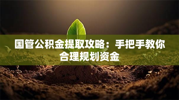 国管公积金提取攻略：手把手教你合理规划资金