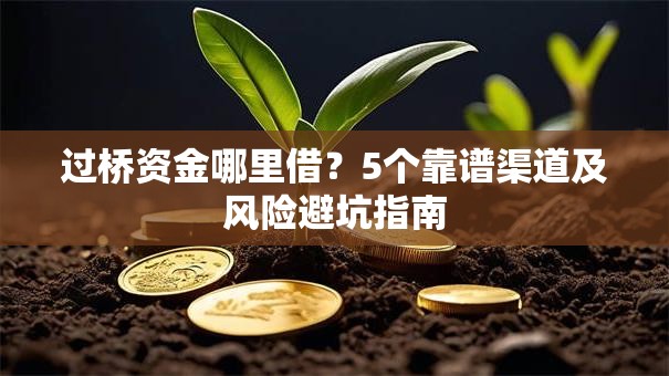 过桥资金哪里借？5个靠谱渠道及风险避坑指南
