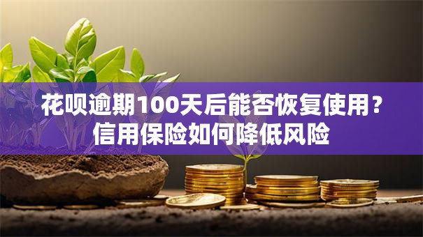 花呗逾期100天后能否恢复使用？信用保险如何降低风险