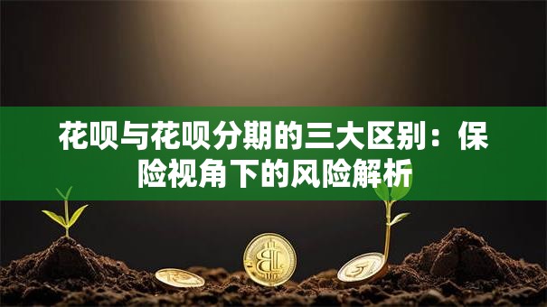花呗与花呗分期的三大区别：保险视角下的风险解析