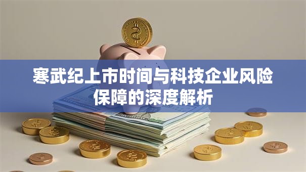 寒武纪上市时间与科技企业风险保障的深度解析