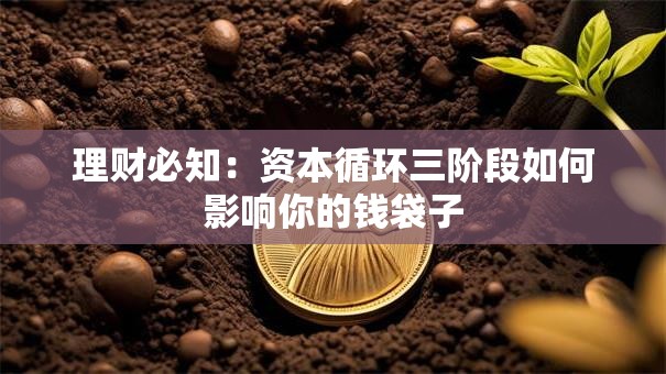 理财必知：资本循环三阶段如何影响你的钱袋子