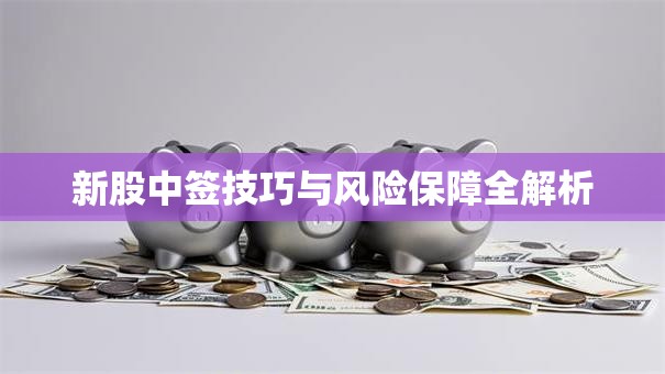 新股中签技巧与风险保障全解析