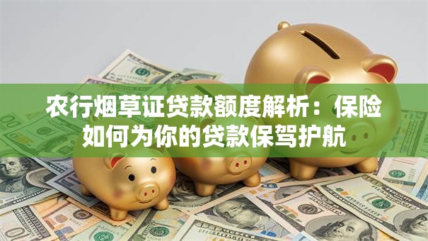 农行烟草证贷款额度解析：保险如何为你的贷款保驾护航