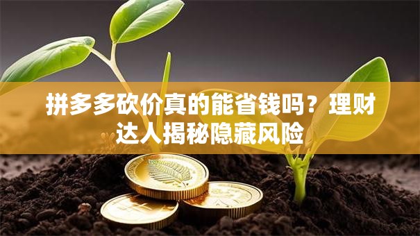 拼多多砍价真的能省钱吗？理财达人揭秘隐藏风险
