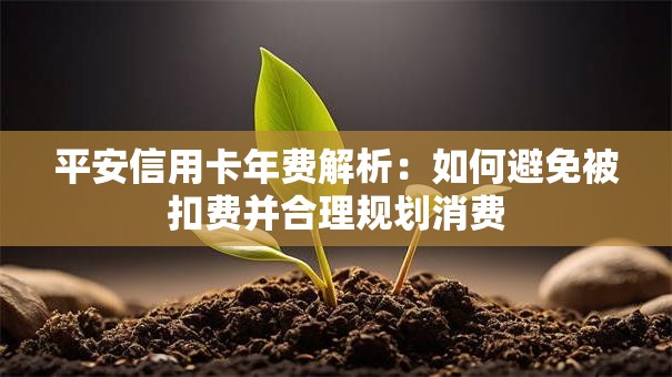 平安信用卡年费解析：如何避免被扣费并合理规划消费