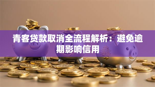青客贷款取消全流程解析：避免逾期影响信用