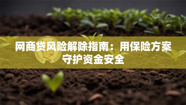 网商贷风险解除指南：用保险方案守护资金安全