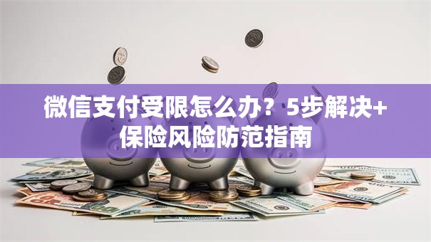 微信支付受限怎么办？5步解决+保险风险防范指南