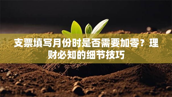 支票填写月份时是否需要加零？理财必知的细节技巧