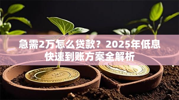急需2万怎么贷款？2025年低息快速到账方案全解析