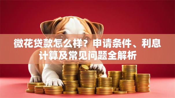 微花贷款怎么样？申请条件、利息计算及常见问题全解析