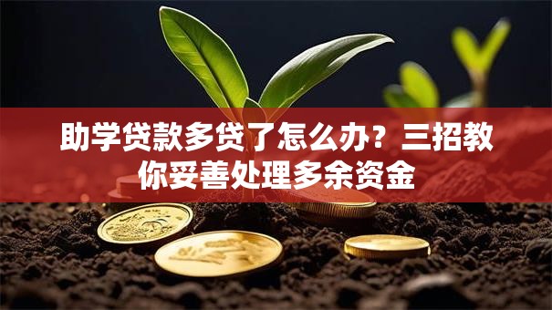 助学贷款多贷了怎么办？三招教你妥善处理多余资金