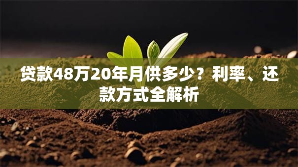 贷款48万20年月供多少？利率、还款方式全解析