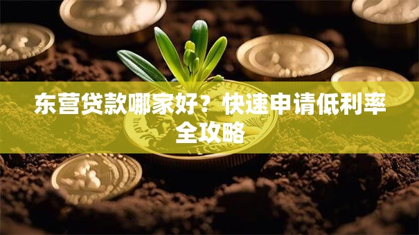 东营贷款哪家好？快速申请低利率全攻略