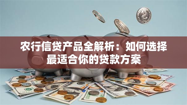 农行信贷产品全解析：如何选择最适合你的贷款方案