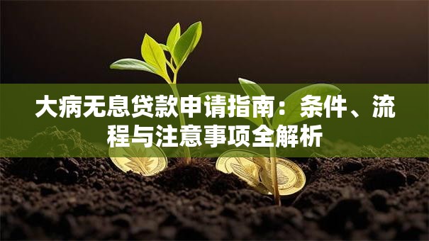 大病无息贷款申请指南：条件、流程与注意事项全解析