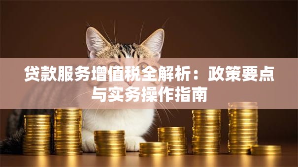 贷款服务增值税全解析：政策要点与实务操作指南