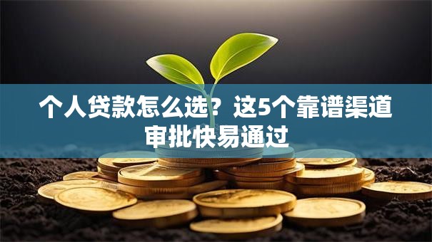 个人贷款怎么选？这5个靠谱渠道审批快易通过