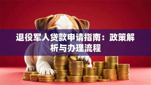 退役军人贷款申请指南：政策解析与办理流程