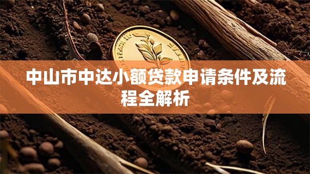 中山市中达小额贷款申请条件及流程全解析