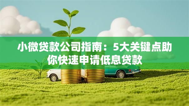 小微贷款公司指南：5大关键点助你快速申请低息贷款