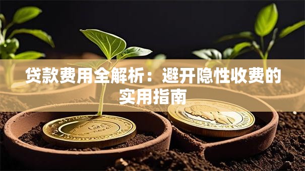 贷款费用全解析：避开隐性收费的实用指南