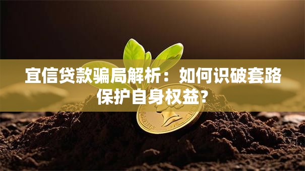 宜信贷款骗局解析：如何识破套路保护自身权益？