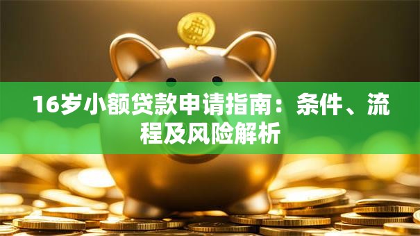 16岁小额贷款申请指南：条件、流程及风险解析