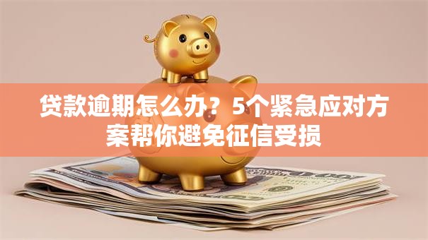 贷款逾期怎么办？5个紧急应对方案帮你避免征信受损