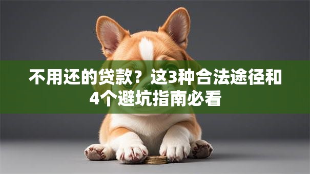 不用还的贷款？这3种合法途径和4个避坑指南必看