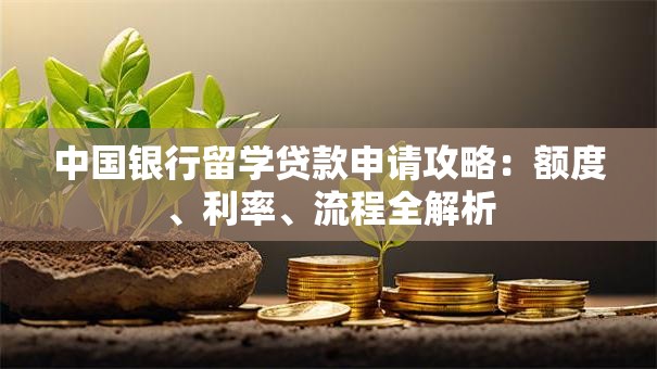 中国银行留学贷款申请攻略：额度、利率、流程全解析
