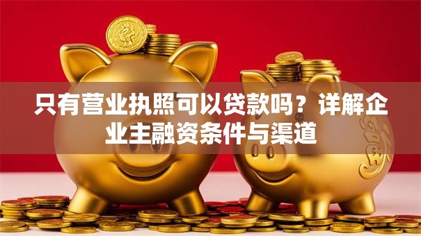 只有营业执照可以贷款吗？详解企业主融资条件与渠道