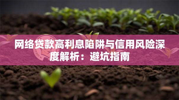 网络贷款高利息陷阱与信用风险深度解析：避坑指南