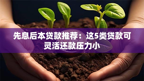 先息后本贷款推荐：这5类贷款可灵活还款压力小