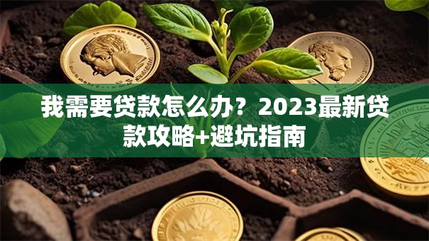 我需要贷款怎么办？2023最新贷款攻略+避坑指南