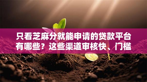 只看芝麻分就能申请的贷款平台有哪些？这些渠道审核快、门槛低