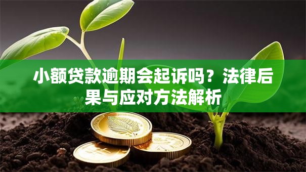 小额贷款逾期会起诉吗？法律后果与应对方法解析