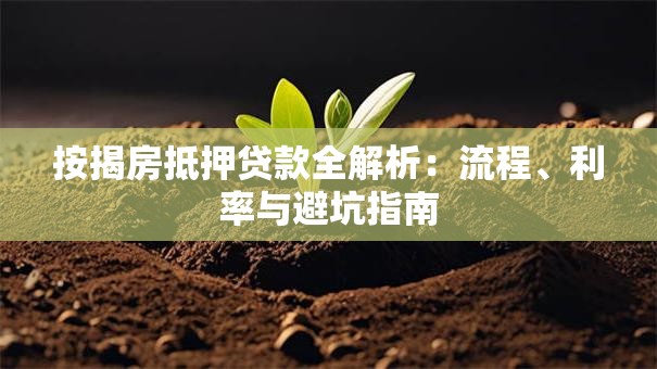 按揭房抵押贷款全解析：流程、利率与避坑指南