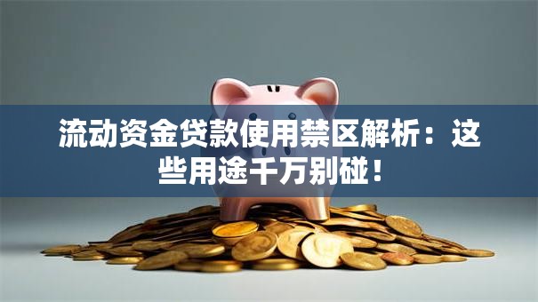 流动资金贷款使用禁区解析：这些用途千万别碰！