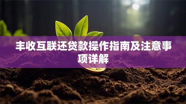 丰收互联还贷款操作指南及注意事项详解