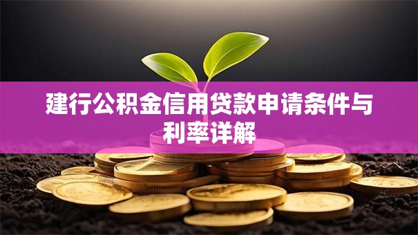 建行公积金信用贷款申请条件与利率详解